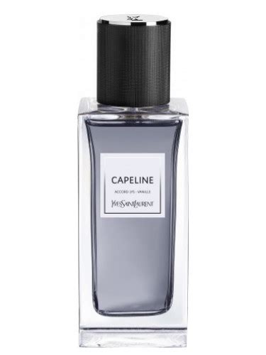 yves saint laurent capelli|capeline by yves saint laurent.